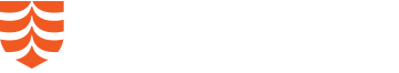 UT San Antonio Logo